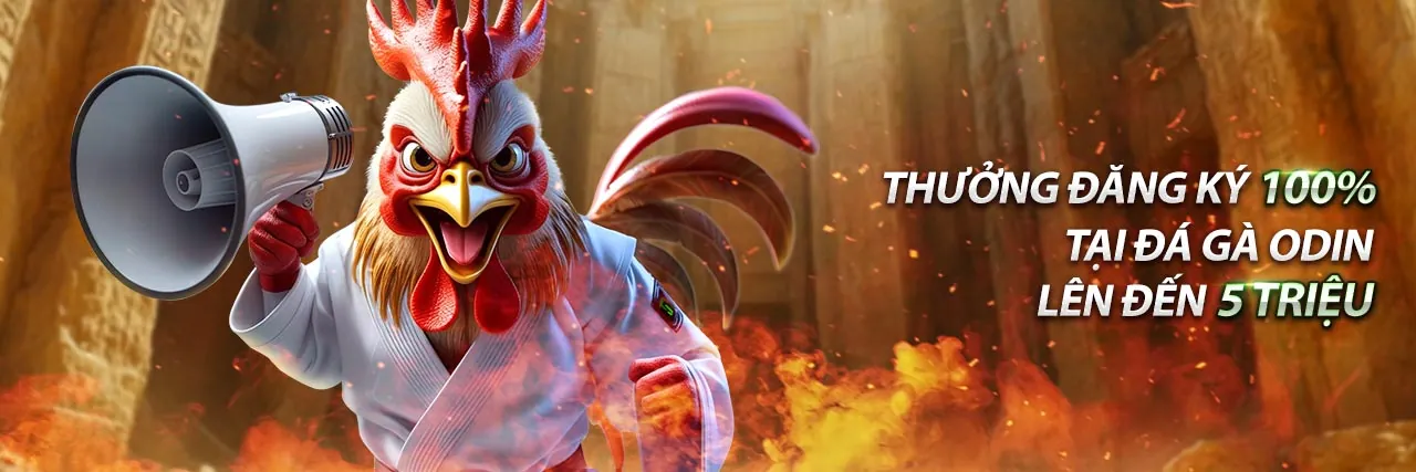 Hình ảnh chính blog 99win win với các chiến lược cá cược và ưu đãi độc quyền